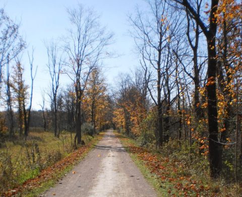 This Entire Town In Ohio Was Turned Into A National Park You Can’t Pass Up