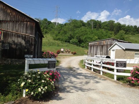 Sip Wine And Dine On BBQ At StoneBrook Winery Near Cincinnati