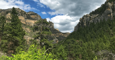 This Wild Wyoming Canyon Trail Is Full Of Surprises And You'll Want To Visit Immediately