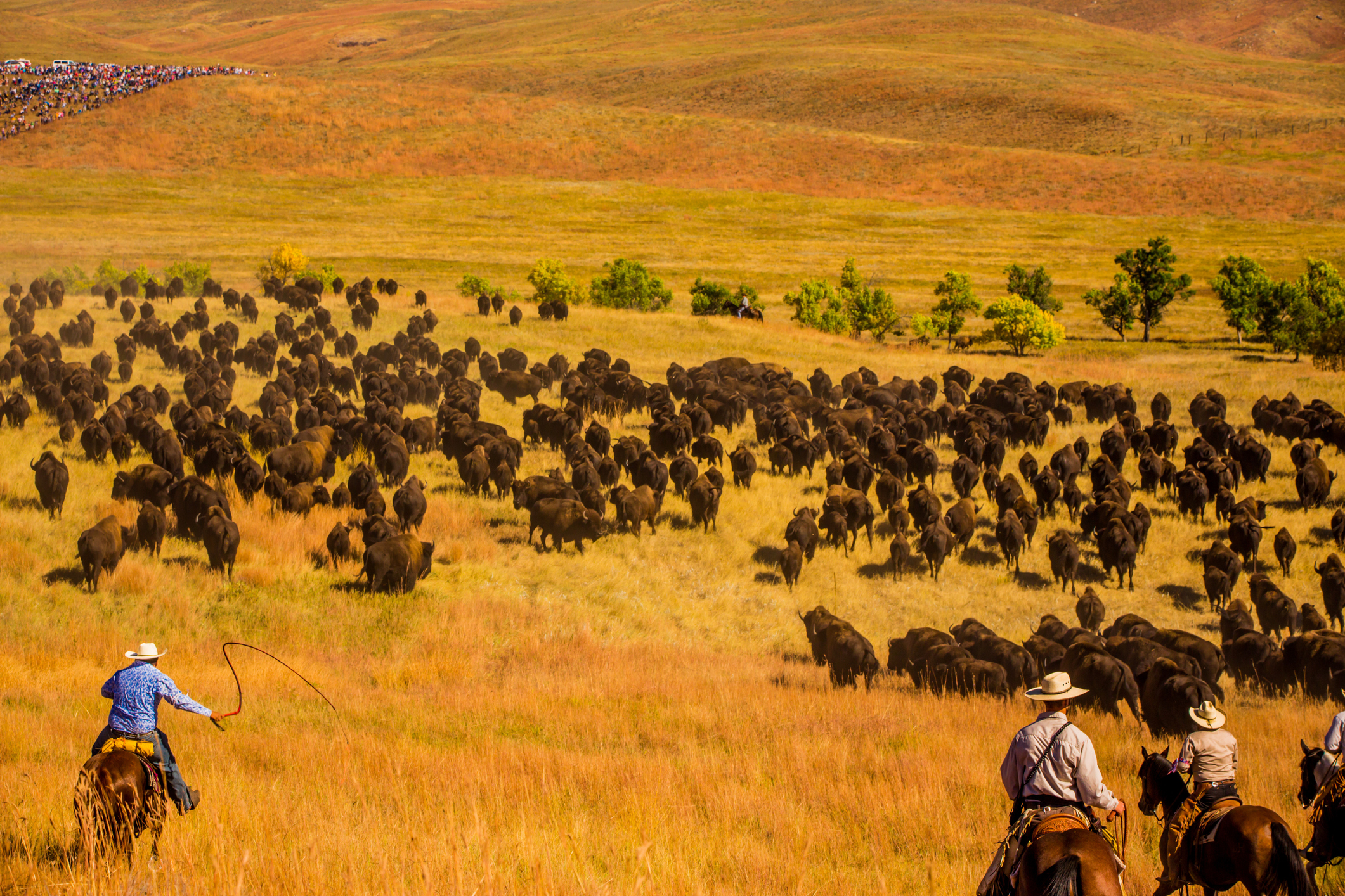 South Dakota banner image