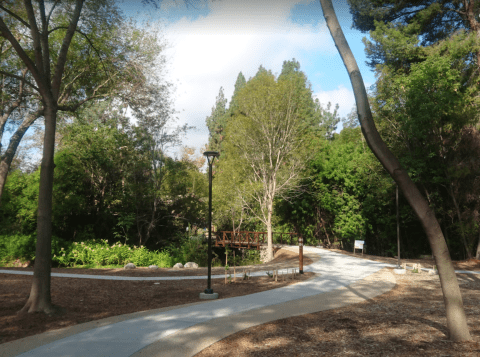 There's A Tunnel Of Trees Hiding In This Little-Known Park In Southern California And You'll Want To Find It