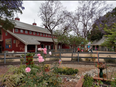 The One-Of-A-Kind Zoo In Southern California With Surprises Around Every Corner