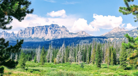 This Wyoming Campground And Waterfall Will Be Your New Favorite Paradise