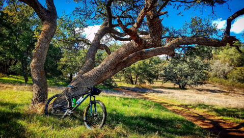 The Dreamy Hiking Trail In Southern California That Will Lead You Through A Forest Of Oak Trees