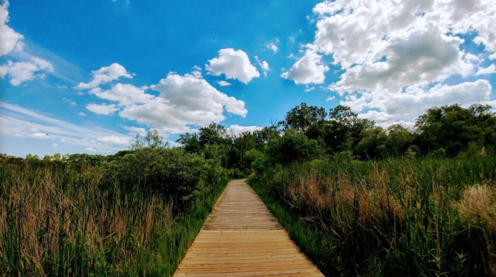 boardwalk trail near detroit