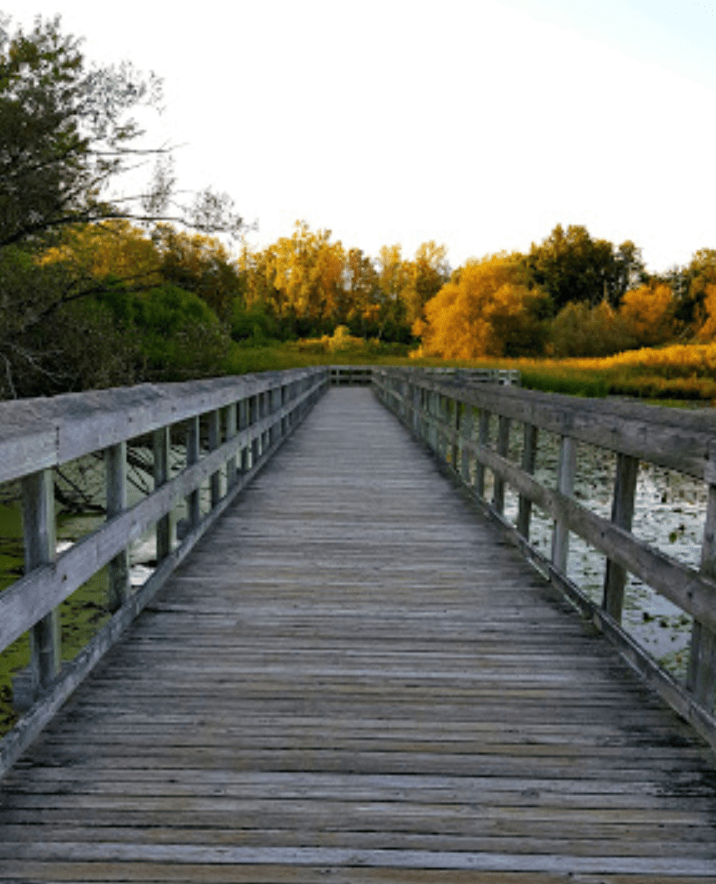 boardwalk trail near detroit