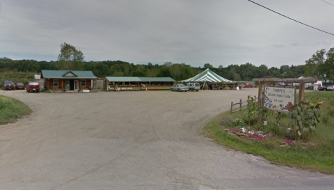 Take The Whole Family On A Day Trip To This Pick-Your-Own Strawberry Farm Near Buffalo