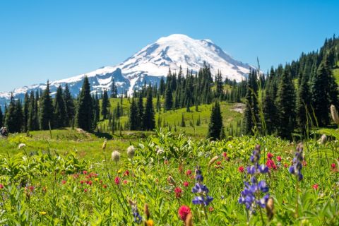 These 9 Alpine Hikes In Washington Will Turn Anyone Into A Nature Lover