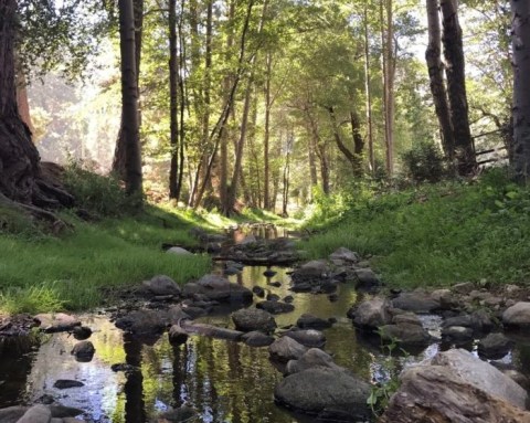 The Hike To This Little-Known Southern California Waterfall Is Short And Sweet