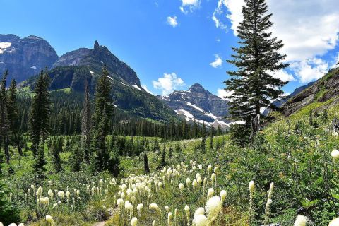 These 7 Alpine Hikes In Montana Will Turn Anyone Into A Nature Lover