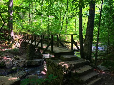 The Hike To This Little-Known Virginia Waterfall Is Short And Sweet