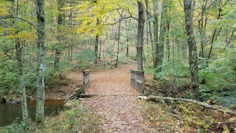 A Hike Along Gay City State Park In Connecticut Leads You Straight To An Abandoned Village