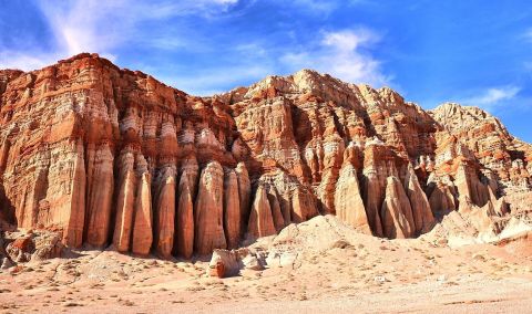 Spring Is The Perfect Time To Take This Underrated Desert Trail In The U.S.