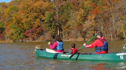 This Hidden Park In Maryland Is A Picture Perfect Adventure For Any Age