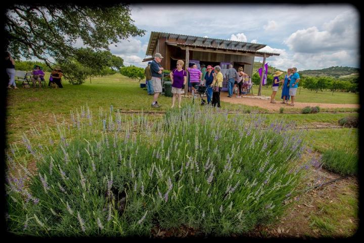 spring festivals in Texas