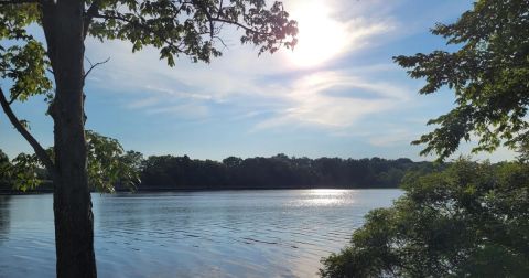 This Beautiful Boardwalk Trail Near Detroit Is The Most Unique Hike Around