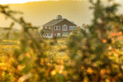 There's A Bed And Breakfast On This Horse Farm Near Buffalo And You Simply Have To Visit