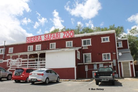 The One-Of-A-Kind Zoo In Nevada With Surprises Around Every Corner