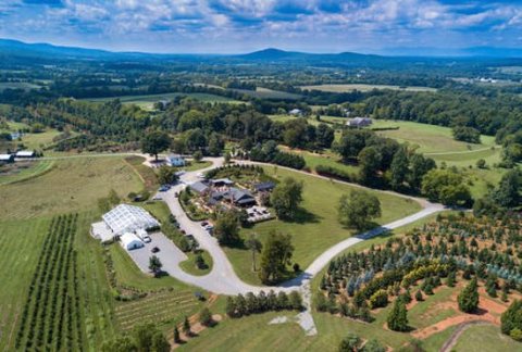 Spend A Perfect Day At This Gorgeous Garden Cafe Hiding In The Virginia Mountains