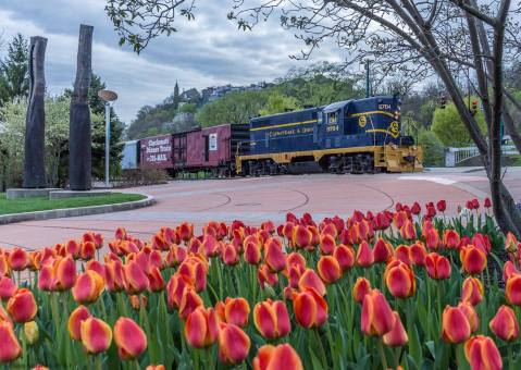 The Daytime Train Ride In Cincinnati That Gives You A Rare View Of The Queen City