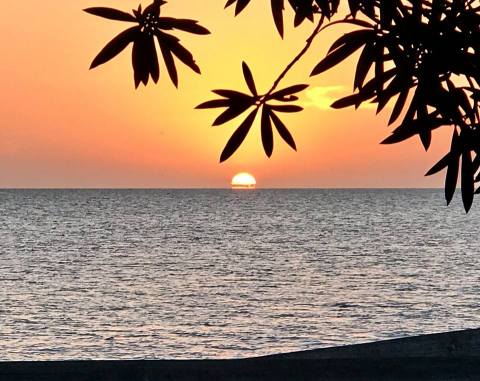 This Underrated State Park In Louisiana Will Make You Feel Like You've Slipped Away To A Tropical Island