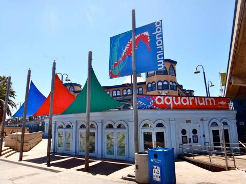 The Hidden Aquarium In Southern California That's Located In The Most Unexpected Place