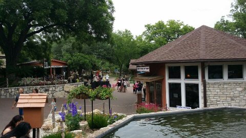 The Butterfly Forest Near Austin That’s The Perfect Family Destination