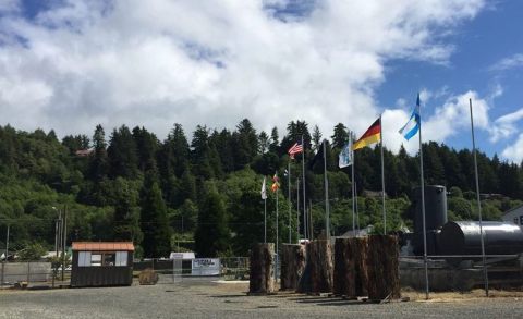 You've Never Seen A Festival Like This One In Oregon That's Full Of Chainsaws