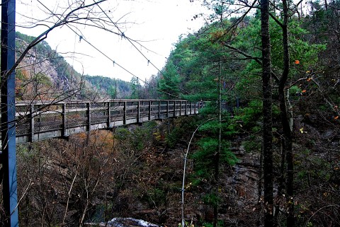 The Bridge Hike In Georgia That Will Make Your Stomach Drop