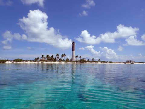 The Hidden Beach In Florida With Clear Waters That Rival The Caribbean