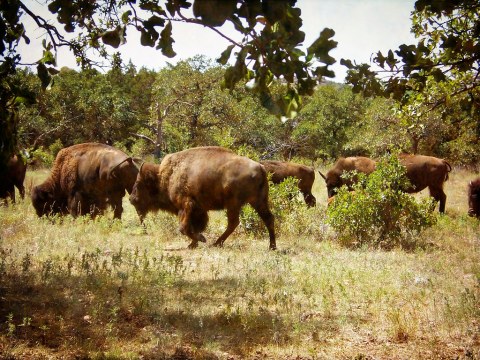 9 Incredible Places In Wisconsin Where You Can See Wildlife Up Close