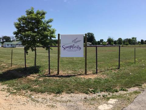 Missouri's Annual Lavender Festival Belongs On Your Springtime Bucket List