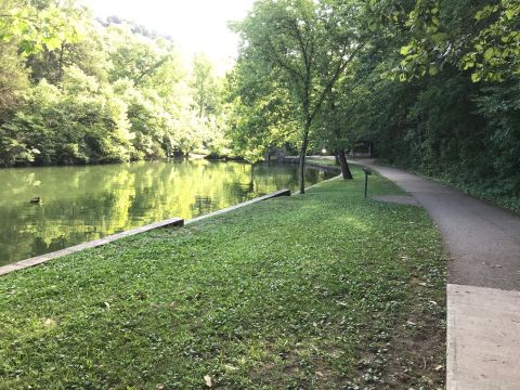 Hike By Moonlight On This Enchanting Trail In Missouri