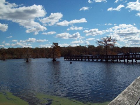 8 Waterfront Parks In Louisiana That Are Perfect For A Summer Day