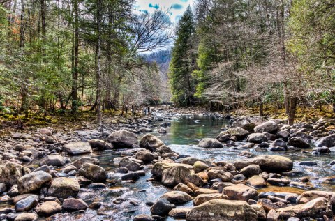 This Swimming Hole Campground In Tennessee Is A Perfect Summertime Oasis