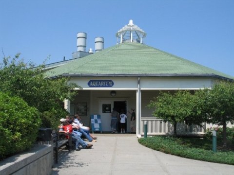 Play With Sharks At This Maine Aquarium For An Absolutely Thrilling Adventure