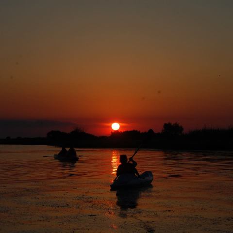 Take A Full Moon Kayak Tour To See Louisiana In A Whole Different Light