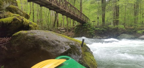 Spend A Weekend In The Smoky Mountains At This Creekside Campground In North Carolina