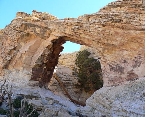 There’s A Little Known Unique Natural Bridge In Nevada And It’s Truly Amazing