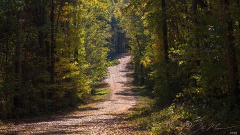 This Underrated Trail Near Nashville Is The Perfect Spot For A Peaceful Hike