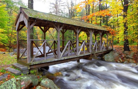 This Babbling Brook Forest In Massachusetts Is The Perfect Place To Get Away From It All