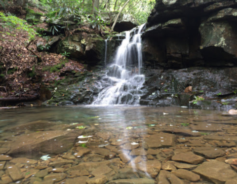 The Secret Waterfall In Virginia That Most People Don’t Know About