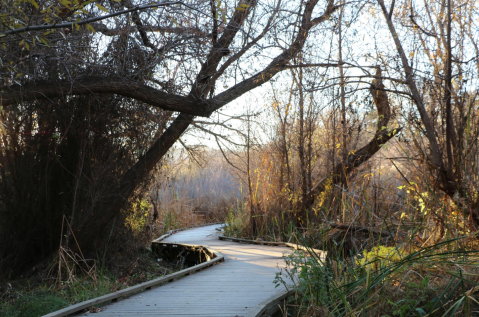 This Beautiful Boardwalk Trail In Southern California Is The Most Unique Hike Around