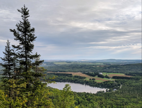 The Oldest Campground In Maine Has Made Summertime More Magical Since 1938