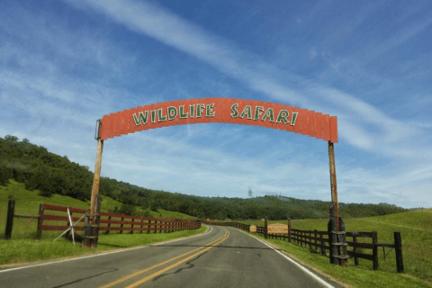 There's A Sunset Safari Tour Right Here In Oregon And It's As Amazing As It Sounds