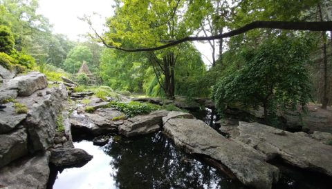 The Relaxing New York Garden That’s Elevated Above The Mountains