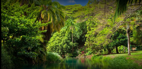 Strolling Through This 252-Acre Garden Hiding In Hawaii Is Like Entering A Fairytale