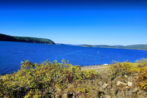 Visiting This One Mountain Lake In Arkansas Is Like Experiencing A Dream