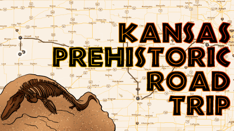 The Picture Perfect Prehistoric Road Trip Every Kansan Should Take