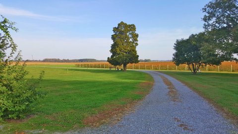 This Vineyard Bed & Breakfast In Maryland Is A Wine Lover's Dream